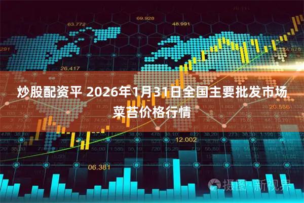 炒股配资平 2026年1月31日全国主要批发市场菜苔价格行情