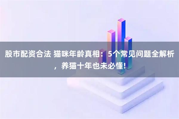 股市配资合法 猫咪年龄真相:5个常见问题全解析,养猫十年也未必懂!